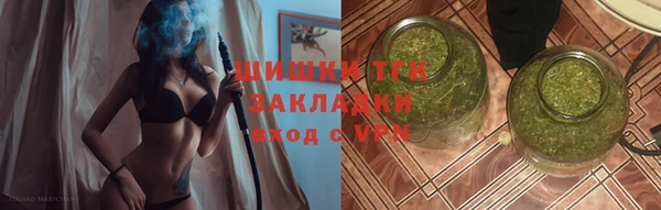PSILOCYBIN Аркадак