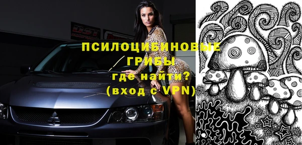 молекула духа Армянск