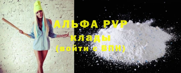 PSILOCYBIN Аркадак