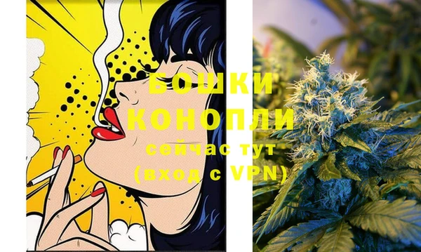 PSILOCYBIN Аркадак