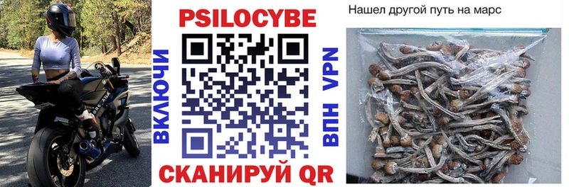 как найти закладки  Пушкино  Псилоцибиновые грибы мицелий 